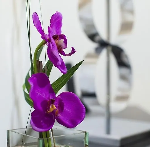 D_loft River * Lisboa